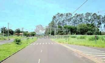 Imagem 3: Terreno Padrão em São José do Rio Preto