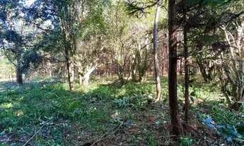 Imagem 6: Sítio Com Entrada De 4.900 E Parcelas De 650. ROB:403