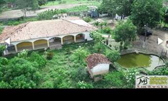 Imagem: Granja no Mendes com 8 há. Linda casa.20