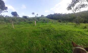 Imagem 6: FAZENDA EM CAMPINORTE 55 ALQUEIRES