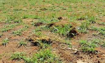 Imagem: Lote no Residencial Vieira