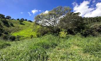 Imagem 5: Terreno com área de 26.000m2 em Córrego do bom Jesus MG