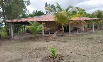 Imagem 4: SÍTIO REG. BOM INTENTO