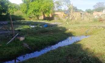 Imagem 5: Vendo sítio Mogi Guaçu bairro cercadinho