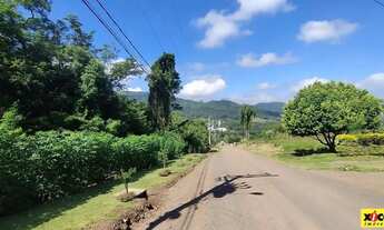 Imagem 3: Terreno para Venda em Picada Café, Floresta