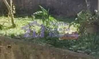 Imagem 6: Terreno à venda, 300 m² por R$ 1.200.000,00 - Itaquera - São Paulo/SP