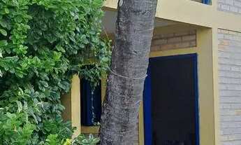 Imagem: Alugo CASA para o Verão de Pirangi