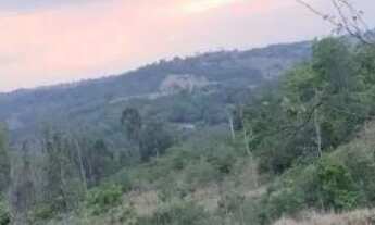 Imagem 7: Chácara próximo a Bonfinópolis