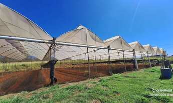 Imagem 3: Área Rural em Alexânia com 3,75 Alqueires, com 02 represas, Galpão, Casa, Curral, Coxo par