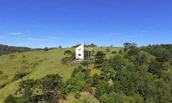 Imagem 2: Área rural com 67 ha, casas, açude e pinus