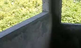 Imagem 7: Vendo ótima casa Bom Jesus dos Pobres