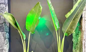 Imagem 7: CASA BEIRA-MAR NOVA COM VISTA DEFINIDA PARA O MAR