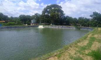 Imagem 2: Sítio Rentável e Produtivo: Avicultura e Piscicultura