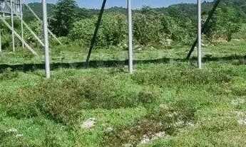 Imagem 7: Terreno a venda com escritura pública na SC 401/ Santo Antonio de Lisboa, com viabilidade