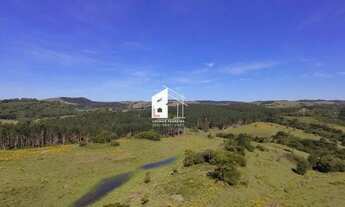 Imagem 4: Área rural com 67 ha, casas, açude e pinus