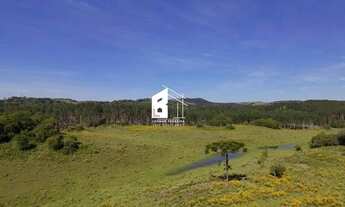 Imagem: Área rural com 67 ha, casas, açude e pinus