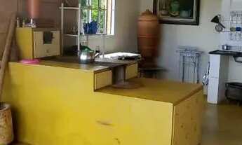 Imagem 4: Linda Fazendinha 15 Hec, Cultura, Lagoa, Pomar Variado, Distrito São Gonçalo do Bação, Ita