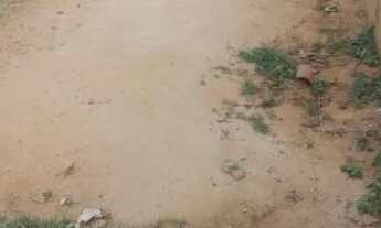 Imagem 6: Aluga-se essa casa