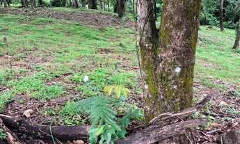 Imagem 2: Área Aldeia do Vale 2.525m²