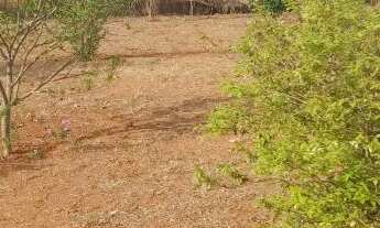 Imagem 2: Chácara ótima Localização