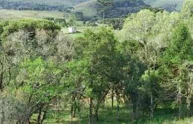 Imagem 7: Sítio em Rua Estrada Velha - Salto Eletra - São Francisco de Paula/RS