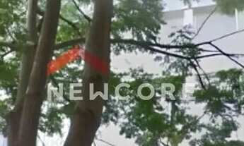 Imagem 3: Apartamento em Rua Piauí - Higienópolis - São Paulo/SP