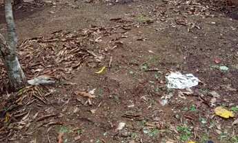 Imagem 3: Vendo um terreno no Iraduba k6