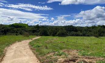 Imagem 6: Chácaras de 20mil mt com córrego em cristianopolis!
