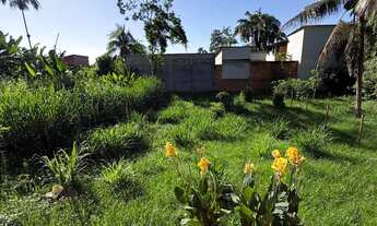 Imagem 5: Casa a Venda - Sertão do Taquari/Paraty