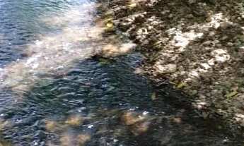 Imagem: Chacara em cezarina - 1.17 alquires