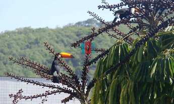 Imagem: Freguesia (Jacarepaguá