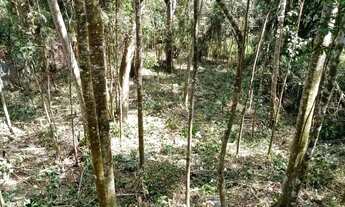 Imagem 3: Lote em Caminho Rodrigues - Pedra Vermelha (Terra Preta) - Mairiporã/SP