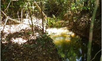 Imagem 6: Área de Mato de 140 alqueires, 72 km de Castelo de Sonhos -PA