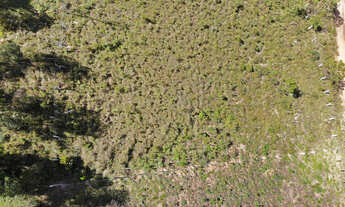 Imagem 7: Terreno à Venda na Região do Atalaia - Campos do Jordão/SP