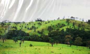 Imagem: Fazenda em Sancrerlandia/GO há 140km