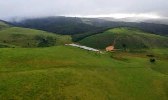 Imagem: Faz. Zona da Mata - a 45 km de Garanhuns-PE