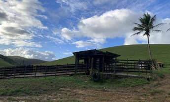 Imagem 5: Faz. Zona da Mata - a 45 km de Garanhuns-PE