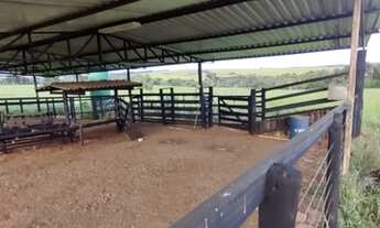 Imagem 6: Fazenda localizada em Munícipio de Cromínia de Goiás, 65 Quilômetros de Goiânia