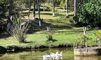 Imagem: Chácara com 3 dormitórios à venda, 6000