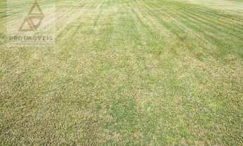 Imagem: Área à venda, 260000 m² por R$ 14.700.000,00