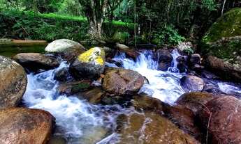 Imagem 7: Chácara com 3 dormitórios à venda, 1600 m² em São João Batista/SC