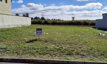 Imagem 6: Terrenos em Saltinho