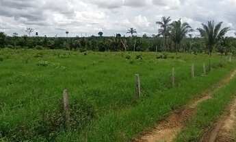 Imagem 5: Fazenda 150 alqueires Alto Paraíso