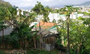 Imagem 7: Casa Madeira à venda em São José/SC
