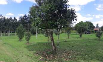 Imagem 6: Chacara para venda .