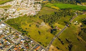 Imagem 4: Grande área com ótimo potencial construtivo