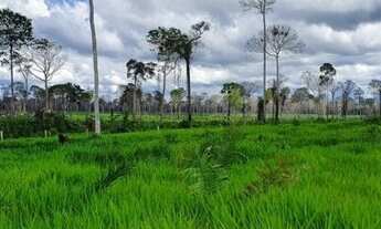 Imagem 3: Fazenda com 229 alqueires Alto Paraiso