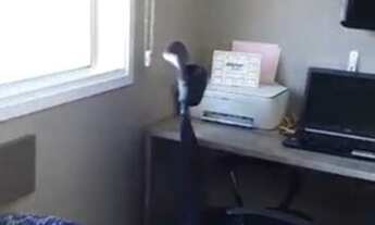 Imagem 3: Cobertura duplex 3 quartos, terraço, churrasqueira, 1 vaga, 127 m2