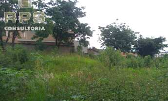 Imagem 7: Terreno Bem Localizado e Ótima Topografia