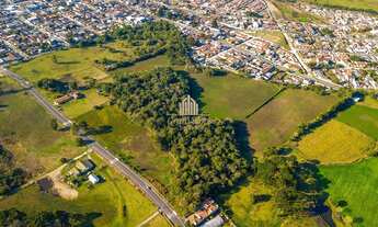 Imagem 6: Grande área com ótimo potencial construtivo